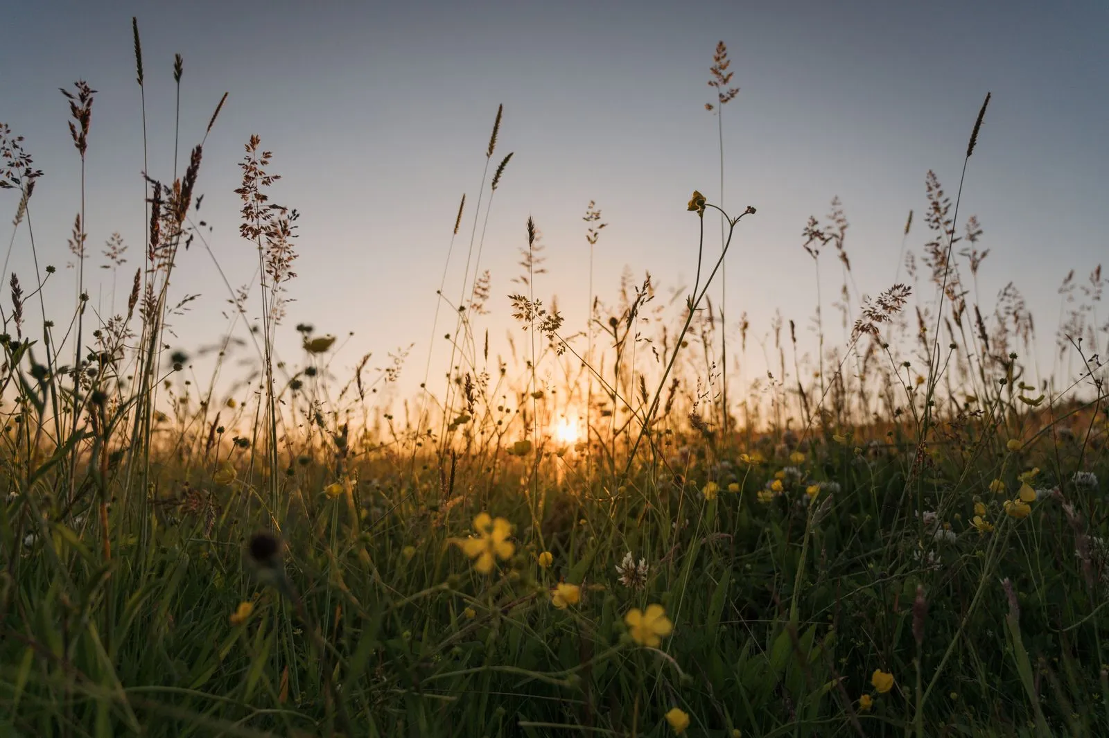 Questions to Ask a Natural Burial Provider